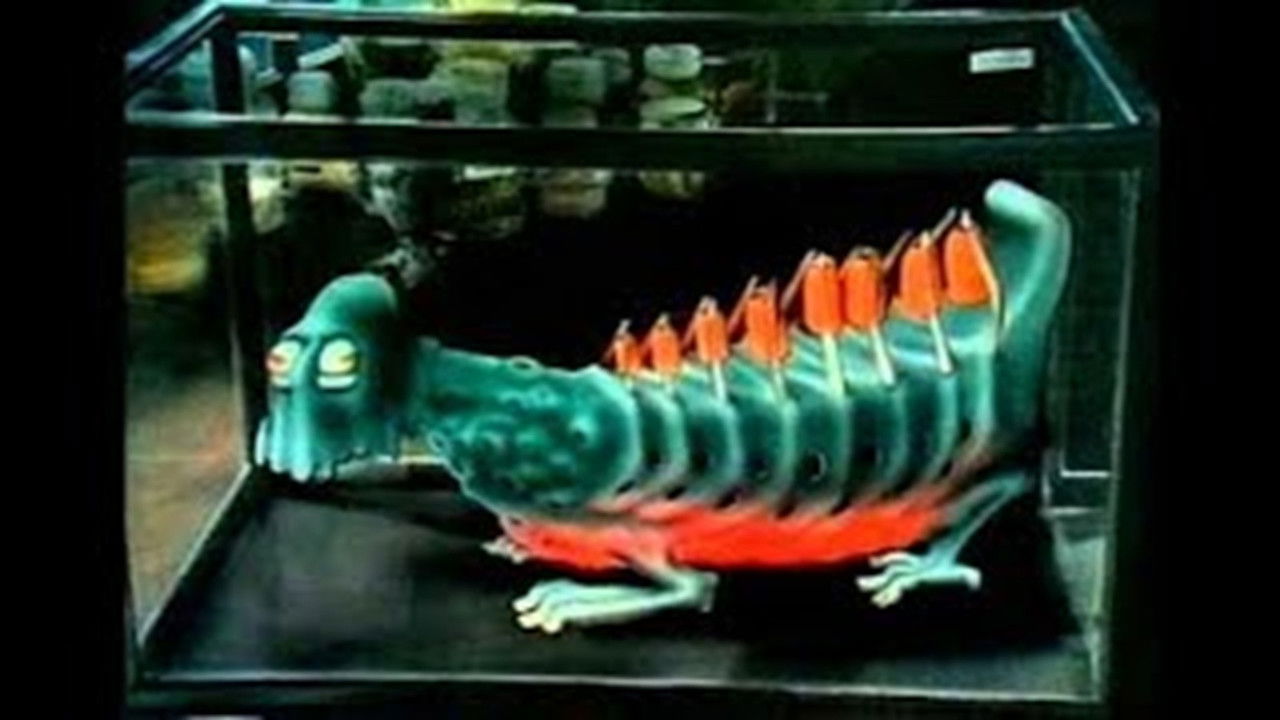 Het Grote Gebeuren backdrop