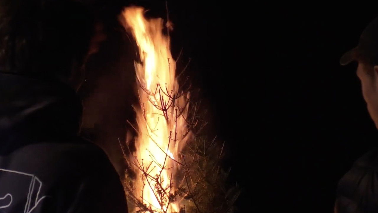 The Death of Bobby Crow backdrop