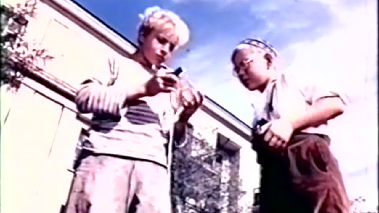 Southern Cross is Above Us backdrop