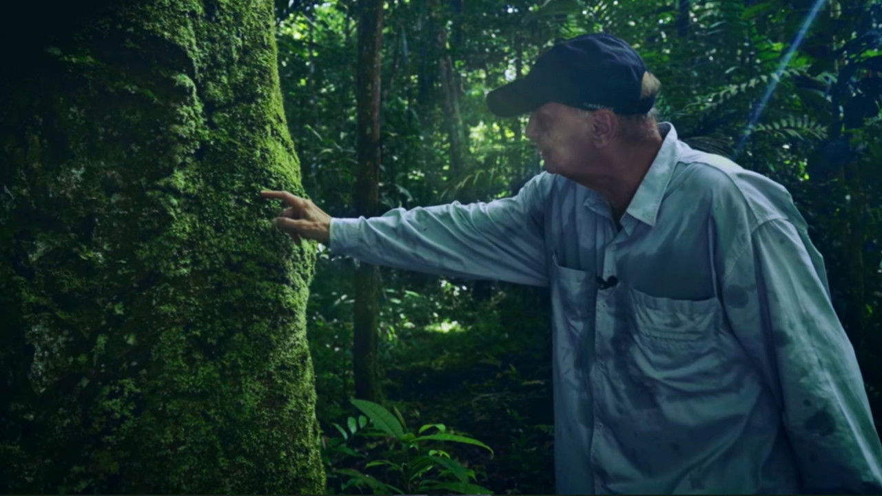 Drauzio em Campo backdrop