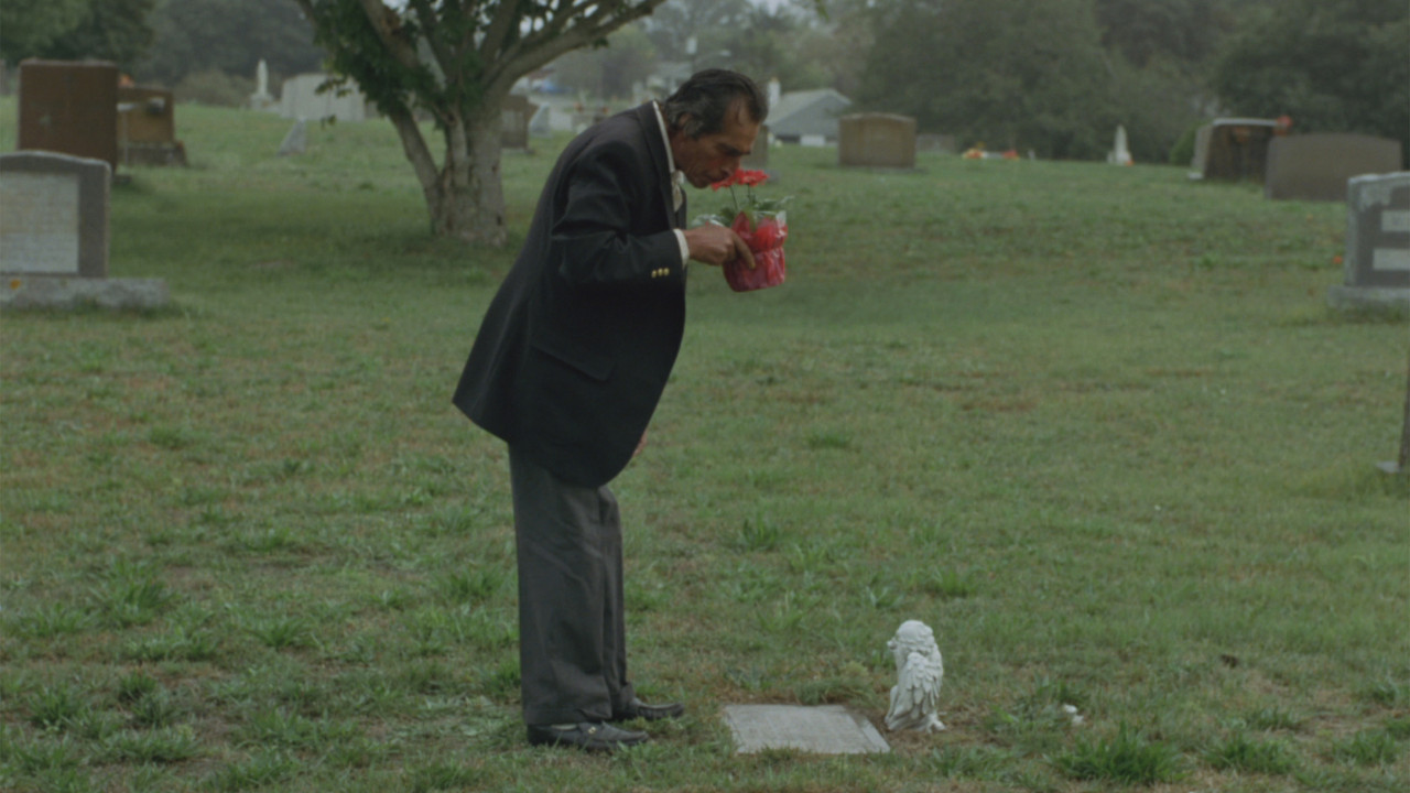 I Am A Town backdrop