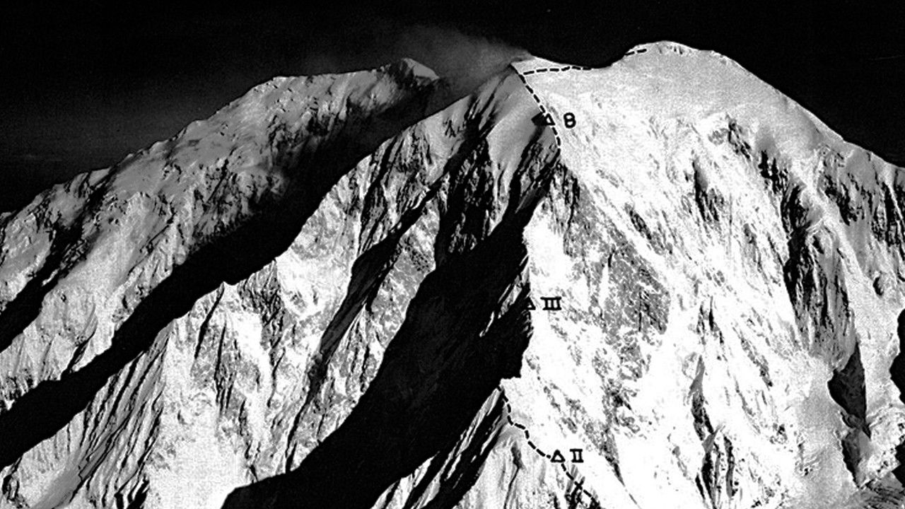 Denali's Wife backdrop