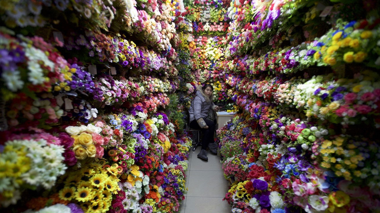 Commodity City backdrop