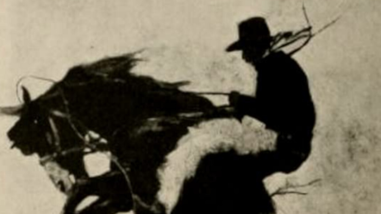 The Millionaire Cowboy backdrop