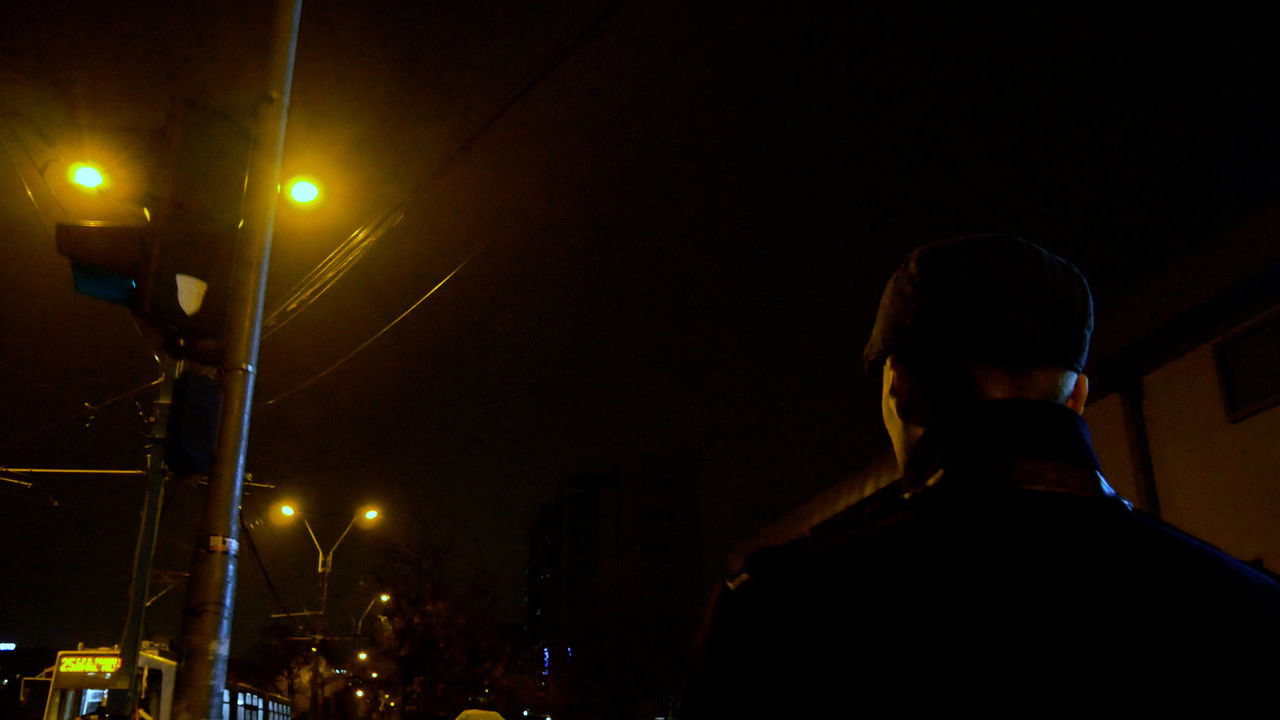 The Night Walk backdrop