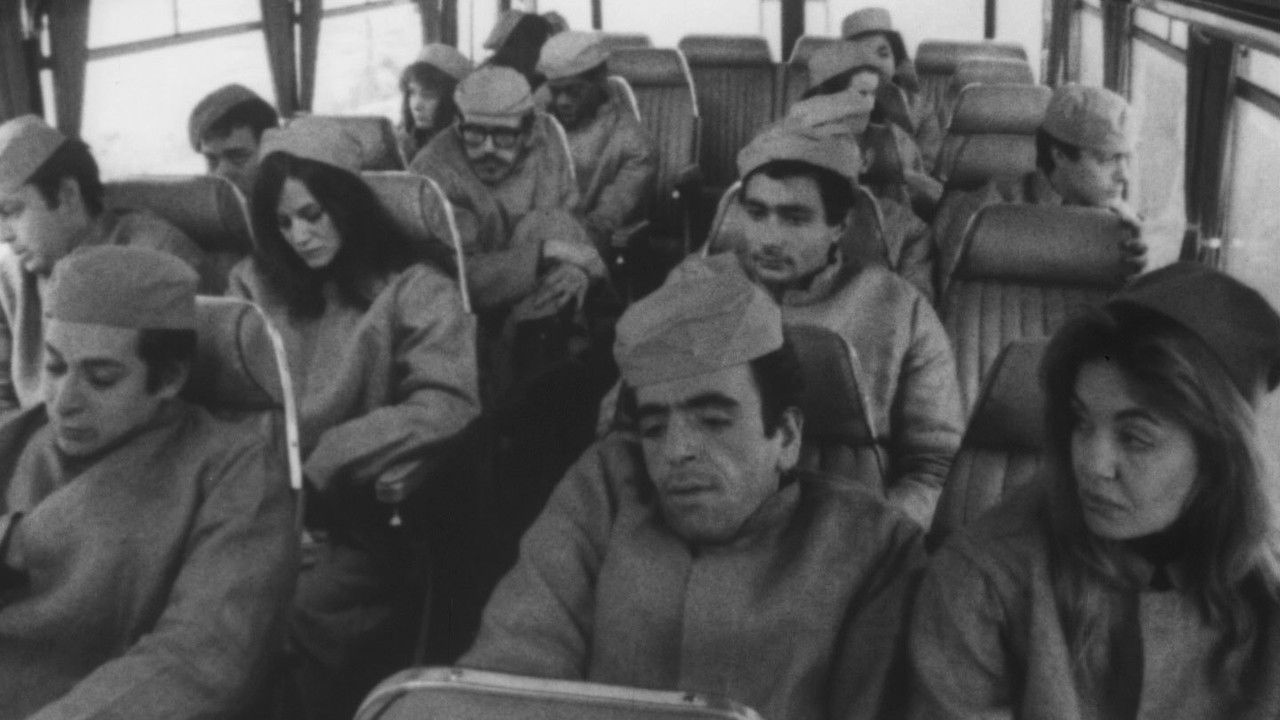 Who's Crazy? backdrop