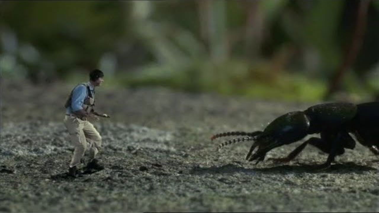 Help! I'm No Bigger Than a Bug backdrop