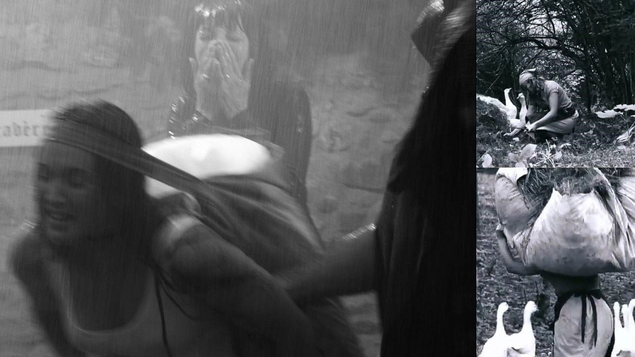 The Goose-Girl at the Well backdrop