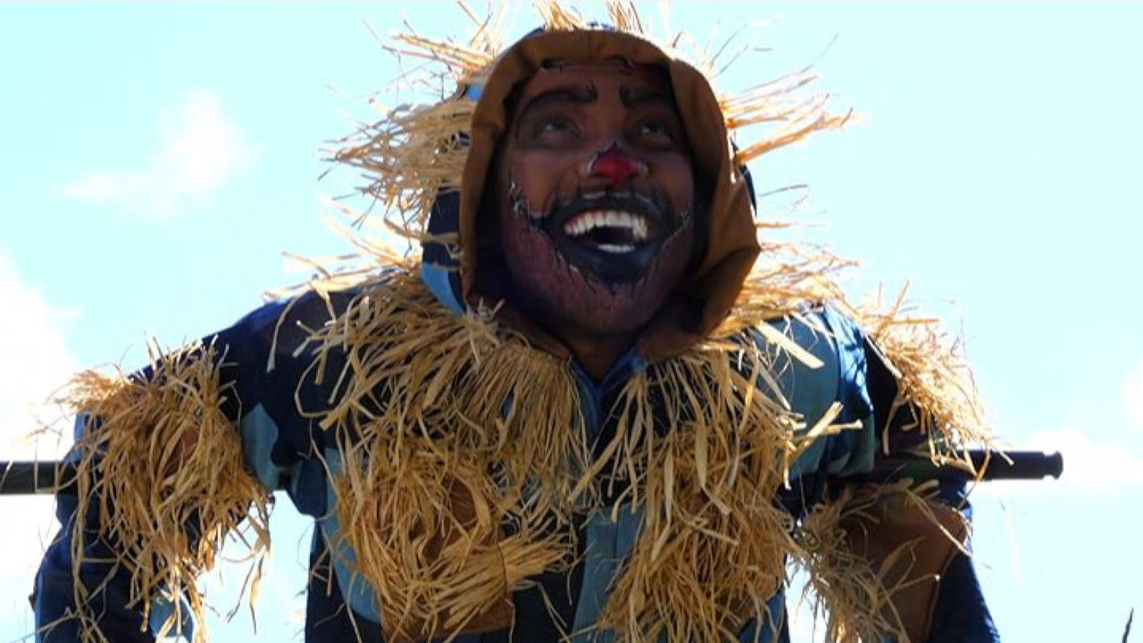 The Wizard 20Twenty backdrop