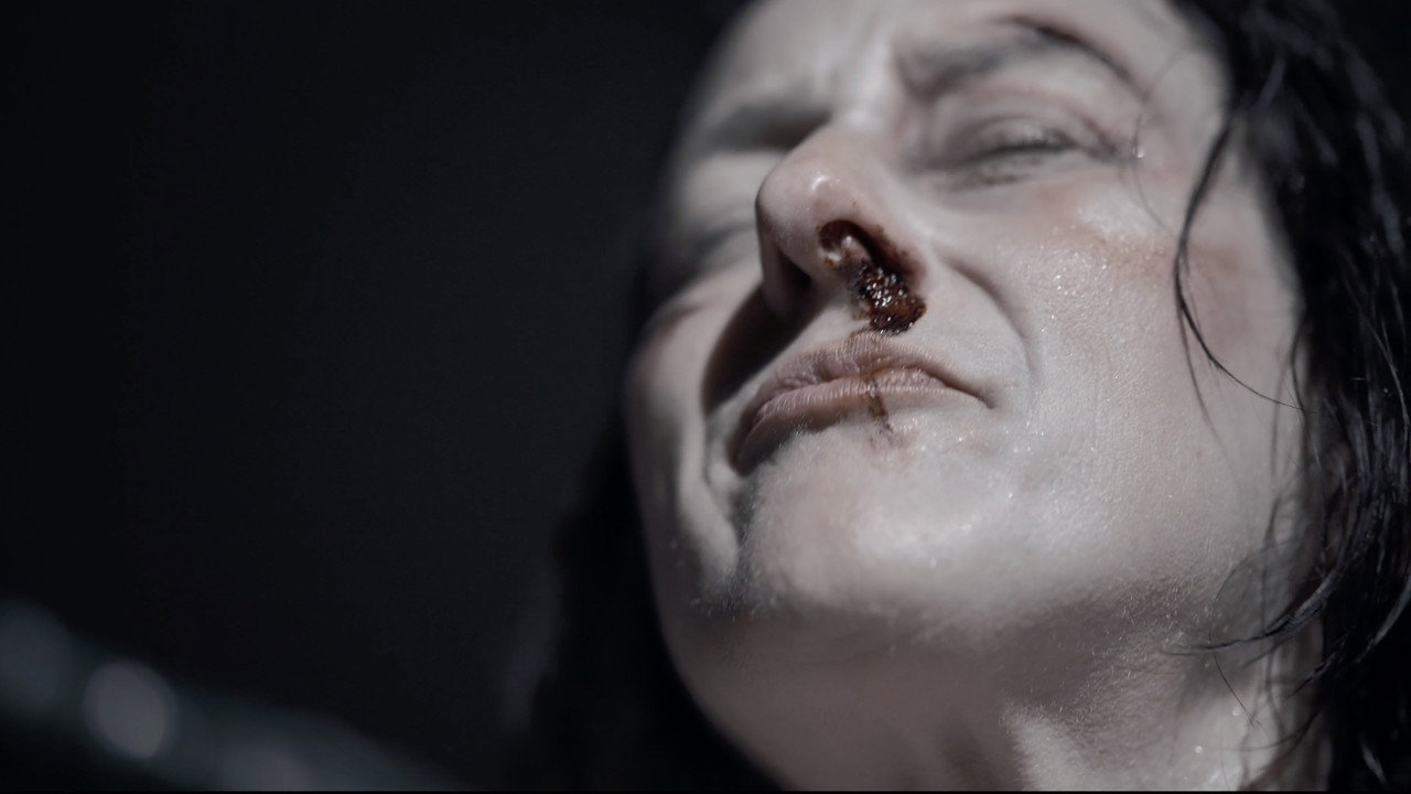 Like a Rock backdrop