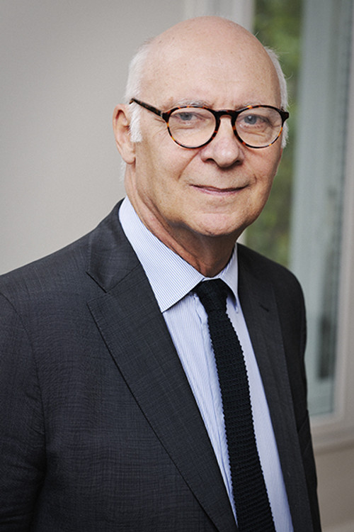 Pierre Cornut-Gentille as Self - Lawyer