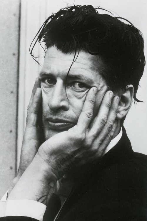 Herman Brood as Singer