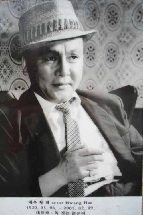 Hwang Hae as Kim Myeong-ho