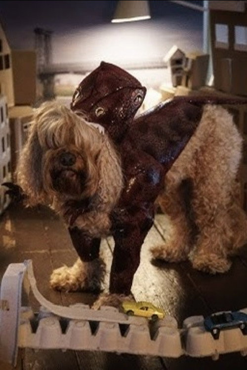 John the Dog as Himself