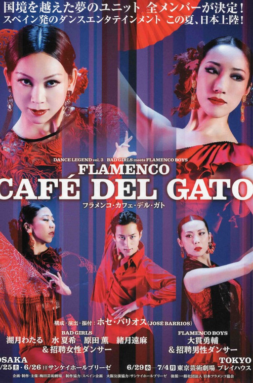 Flamenco Cafe Del Gato