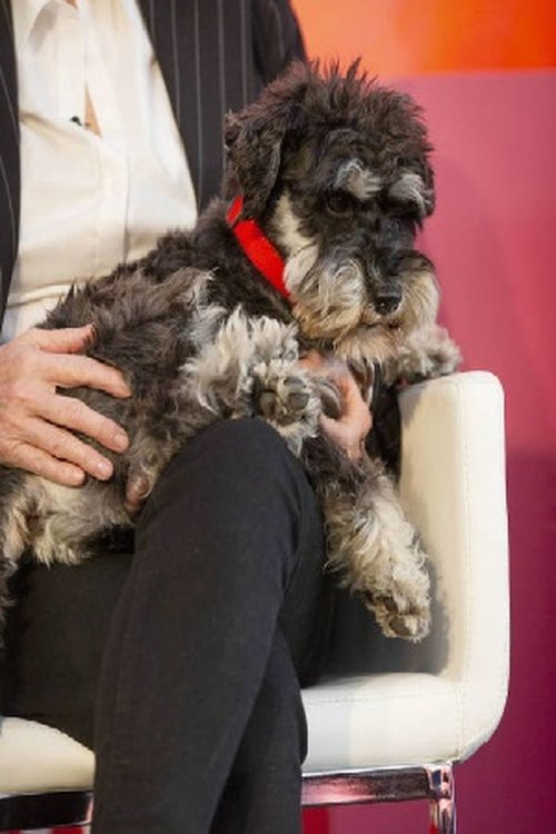 Scott as Colaborador