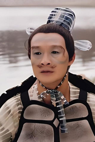 Zhu Jingui as 龟丞相