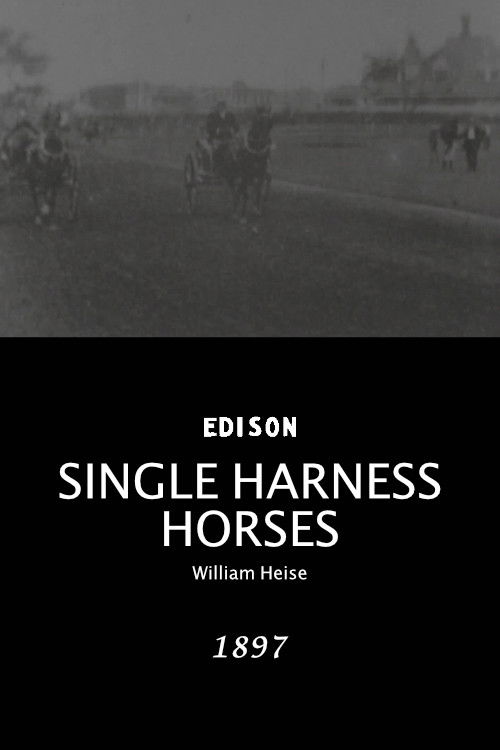 Single Harness Horses