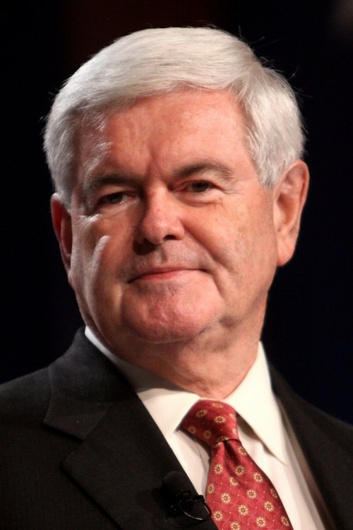 Newt Gingrich as Self