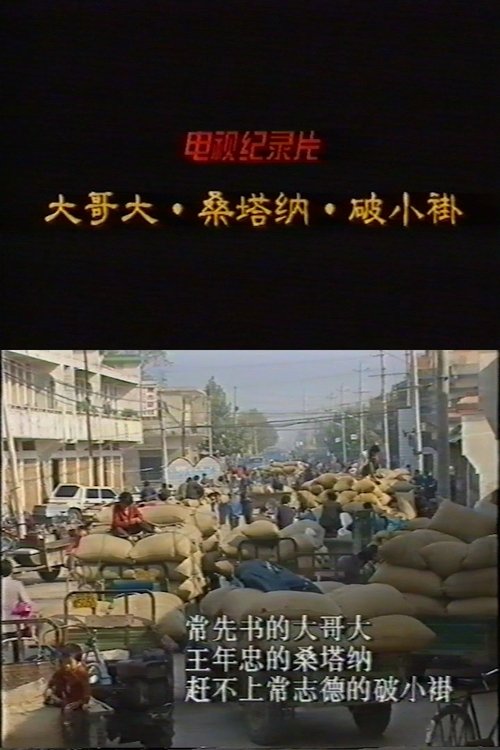 A "Big Brother," a Volkswagen Santana, and a Shabby Coat poster