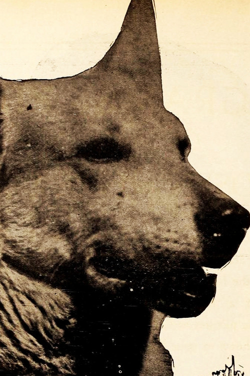 Lightning the German Shepherd as Lightning, Renfrew's Dog