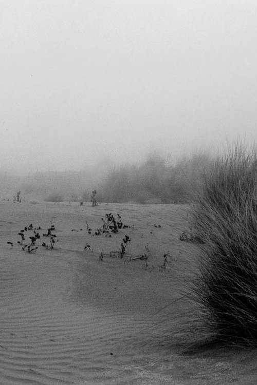 Sea Concrete Human — Malfunctions #1