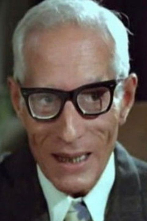 Rushdy ElMahdy as قاطع التذاكر في المحطة