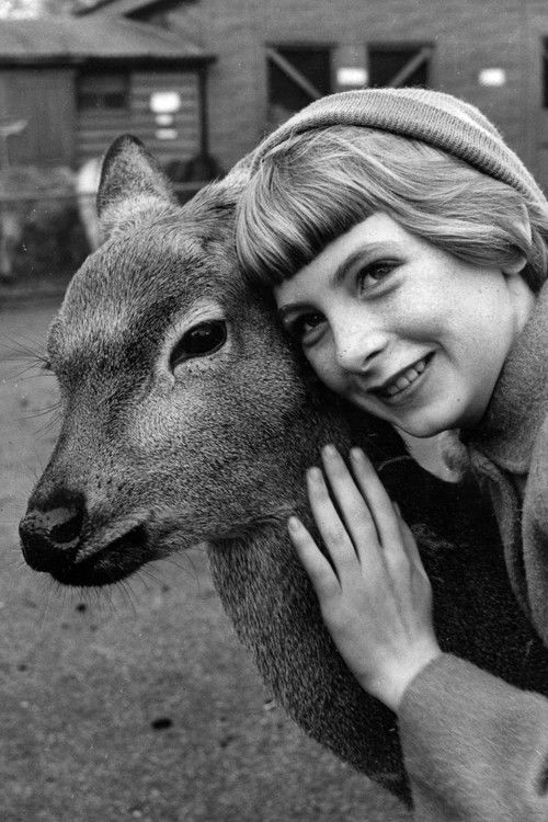 Jacqueline Ryan as Jacqueline McNeil