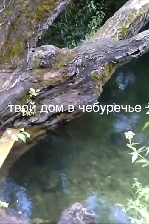 your house in the Cheburechie