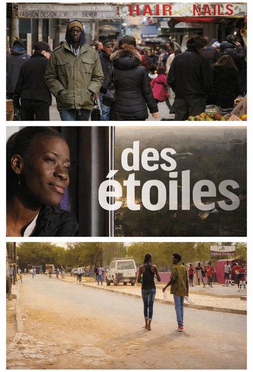 Under the Starry Sky