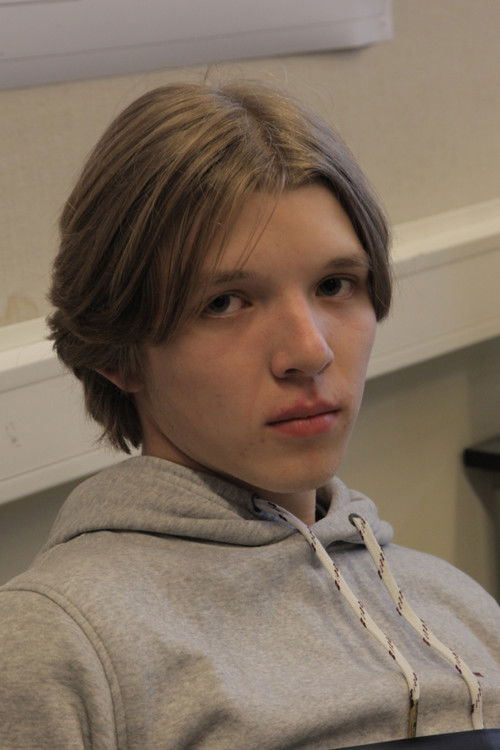 Kristian Østby Brandser as Vincent