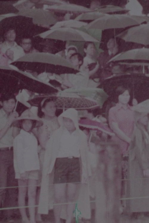 The Dragon Boat Festival