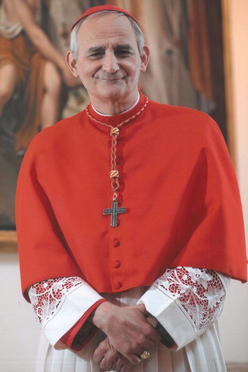 Matteo Maria Zuppi as Himself