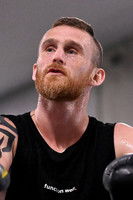 Dennis Hogan as Self