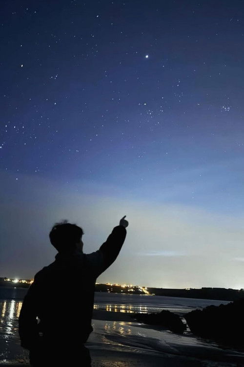 Ronan Walsh as Ronan Welsh