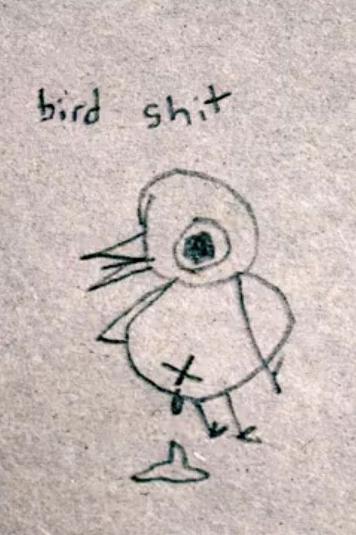 Bird Shit poster