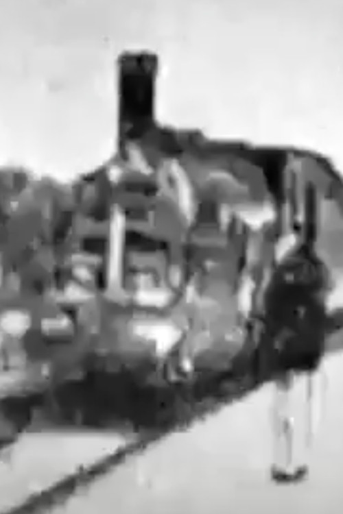 Arrival of a Train (Joinville Station) poster