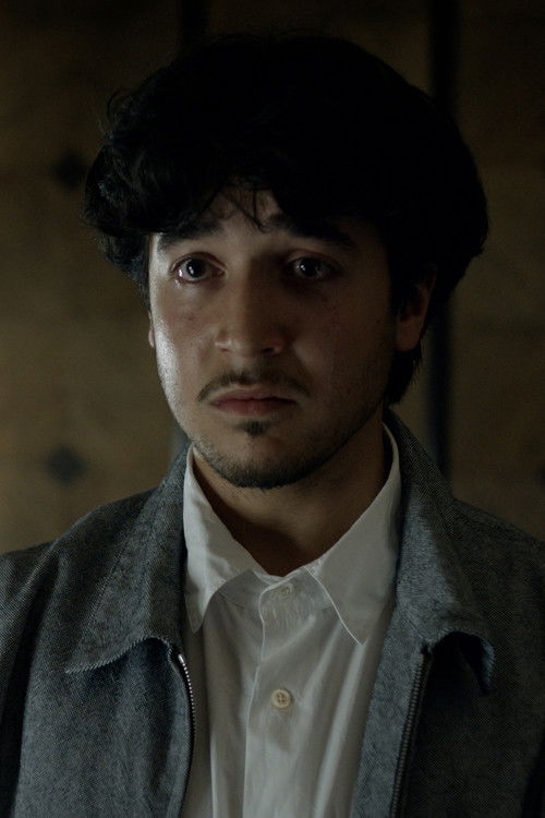 Shahin Shehata as Merlin Mahler