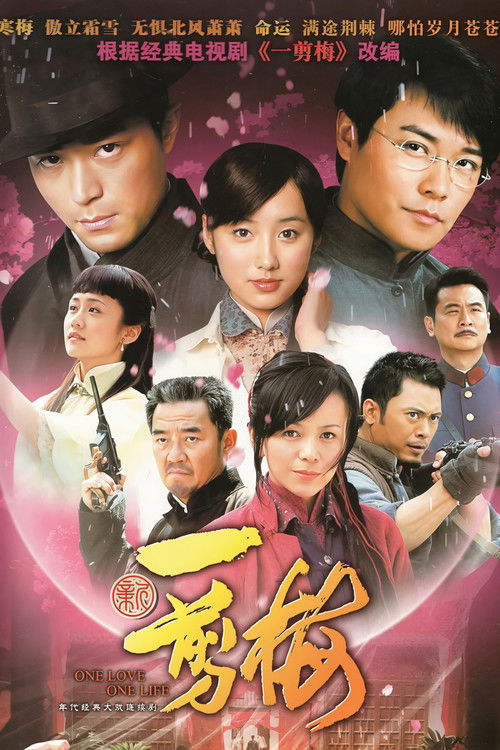 New Spring of Plum Blossoms