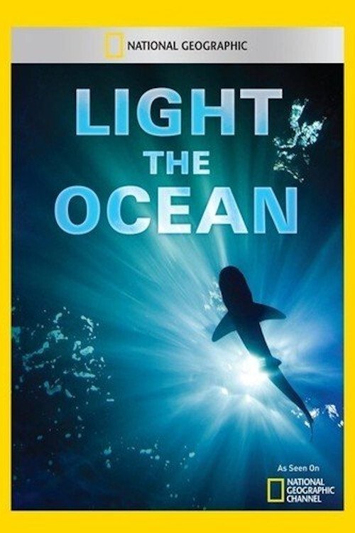 Light The Ocean poster