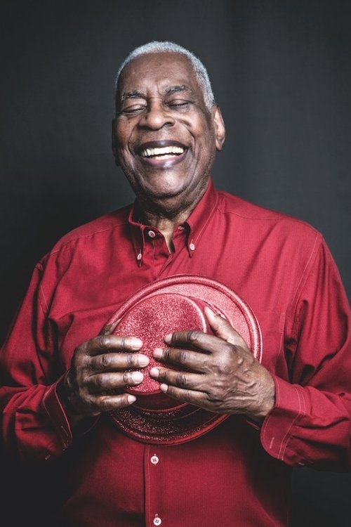 Haroldo Costa as Driver