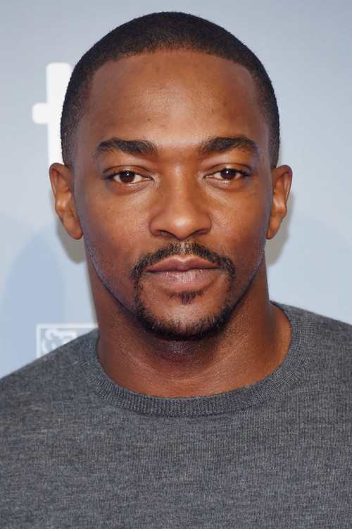 Anthony Mackie as Sam Wilson / Falcon