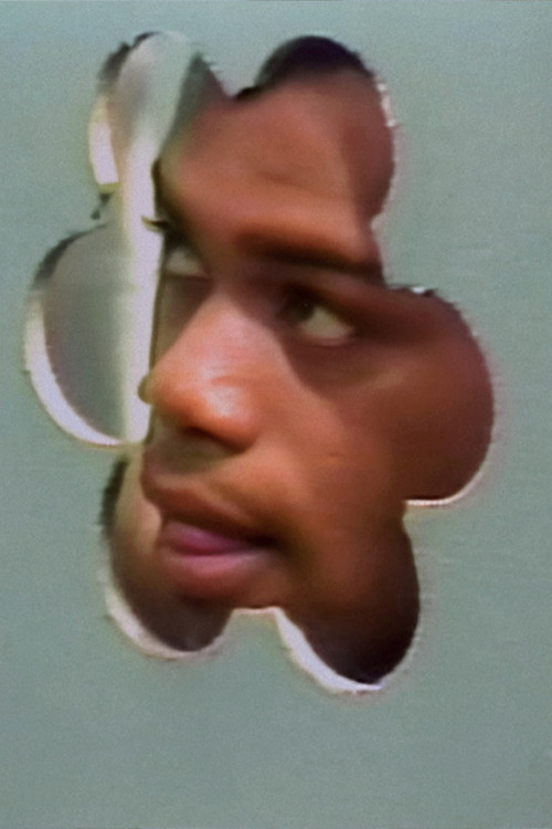 Burt Noardman as (archive footage)