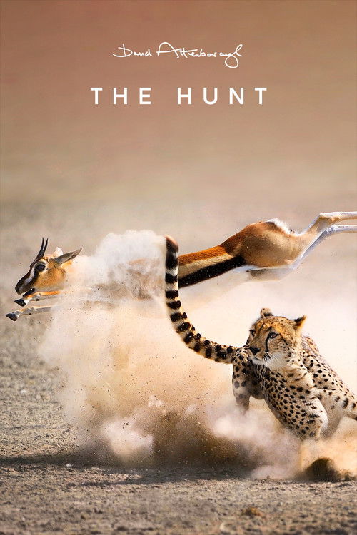 The Hunt
