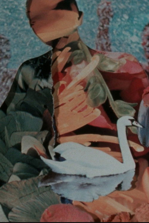 Shells and Rushes poster