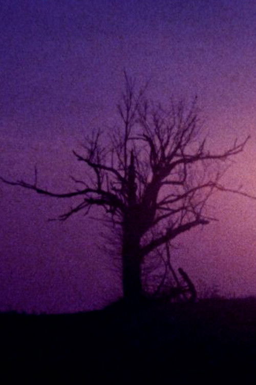 Fainter Echoes poster