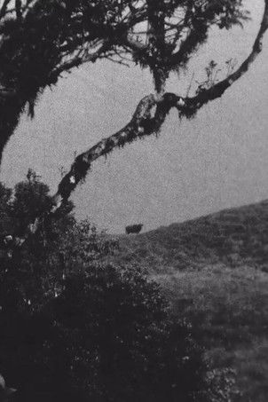 Horned Game - Wild poster