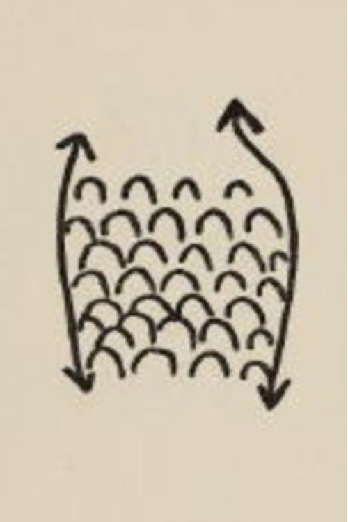 Projet Pour Un Poisson