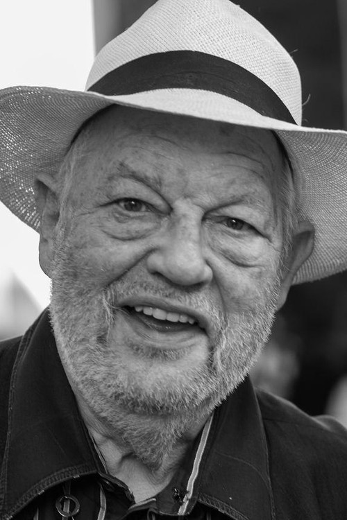 Peter Berling as Don Fernando de Guzmán