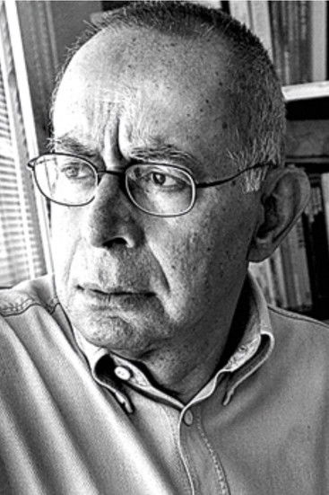 Alberto Seixas Santos as Art critic (voice)